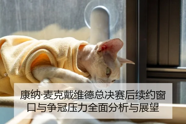 康纳·麦克戴维德总决赛后续约窗口与争冠压力全面分析与展望