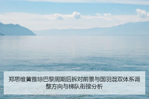 zheng-si-wei-huang-ya-qiong-ba-li-zhou-qi-hou-chai-dui-qian-jing-yu-guo-yu-hun-shuang-ti-xi-tiao-zheng-fang-xiang-yu-ti-2-611.jpg
