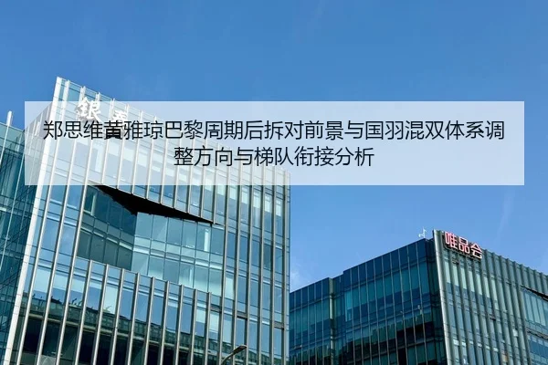 郑思维黄雅琼巴黎周期后拆对前景与国羽混双体系调整方向与梯队衔接分析
